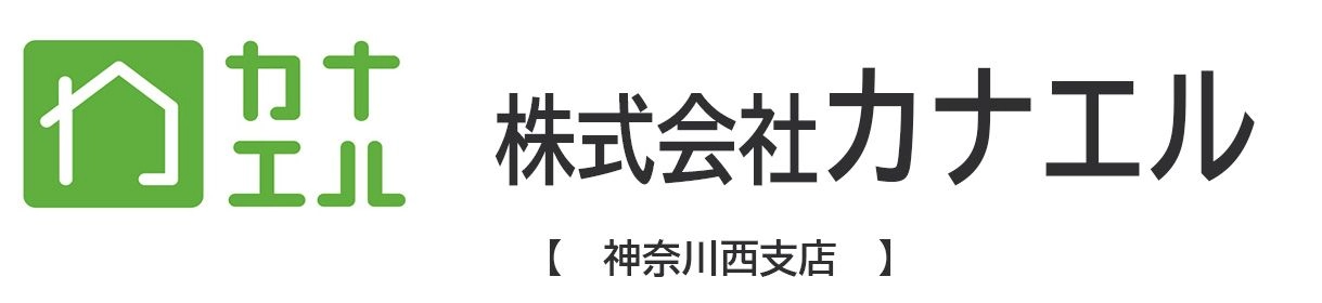 ЃJiG _ސ쐼X
