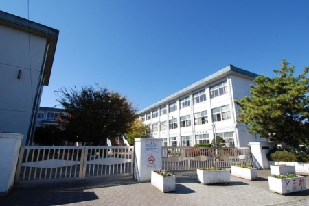 ӊ csxwZ k11B 800m