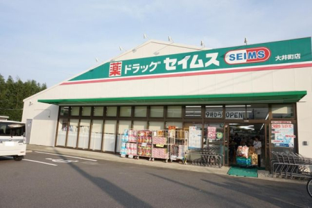 ���ӊ� �h���b�O�Z�C���X�����q�X �k��4���B 310m