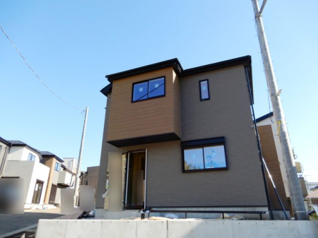 ���̑� �S�̋��}