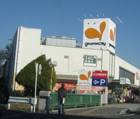 ���ӊ� �J�C���Y�t�H���e�`��X �k��67���B 5300m