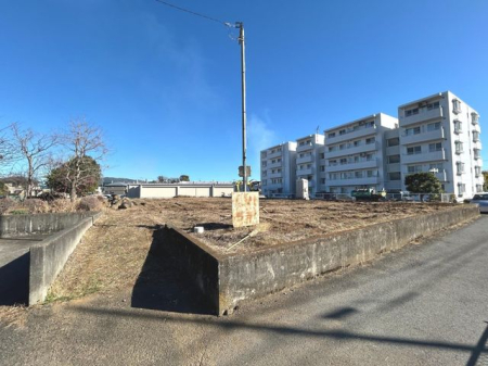 ���n�y�n�ʐ^ ���n�y�n�ʐ^���������\��F�ߘa8�N4������