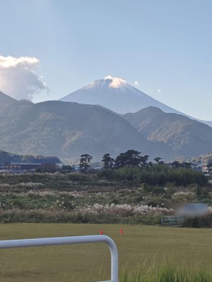 ���̑� �x�m�R��