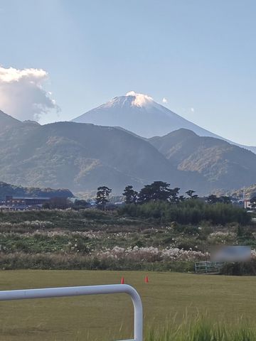 ���̑� �x�m�R��