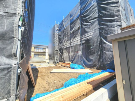 ���̑� ��