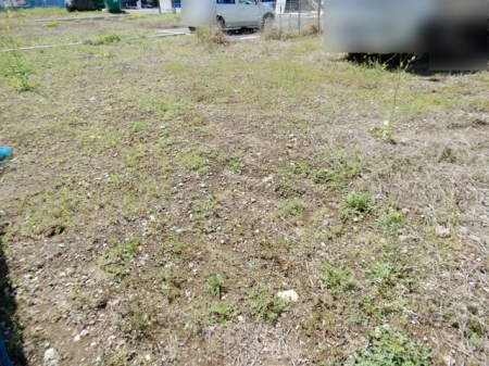 ���n�O�ώʐ^ ���n�y�n�ʐ^