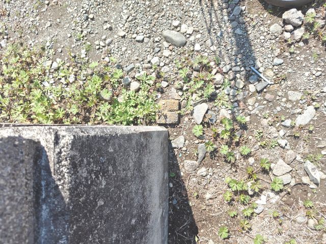 ���ӊ� ���̑����n