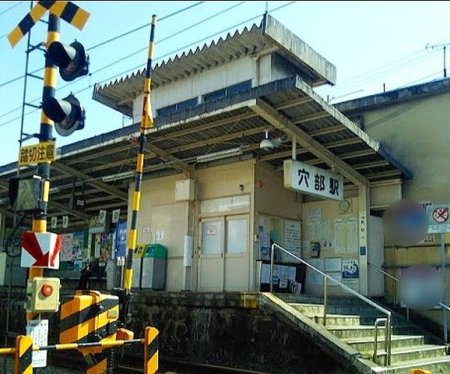 ���ӊ� �����w(�ɓ������S�� ��Y�R��) �k��3���B 180m