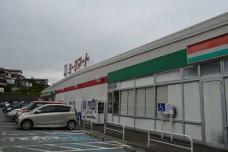 ���ӊ� ���[�N�}�[�g���؃C���^�[�X �k��19���B 1490m